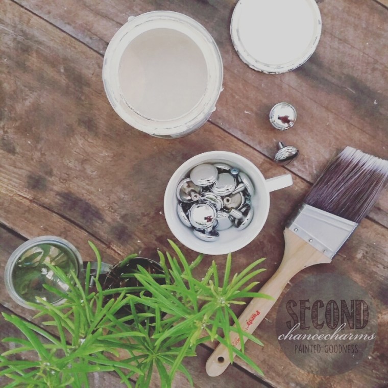 IMG_20160414_122656.jpg image