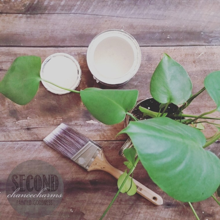 IMG_20160420_100509.jpg image